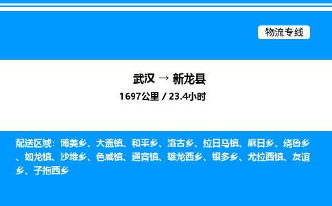 武漢到新龍縣物流專(zhuān)線(xiàn)-武漢至新龍縣貨運(yùn)公司