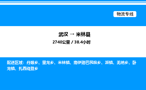 武漢到米林縣物流專(zhuān)線(xiàn)-武漢至米林縣貨運(yùn)公司
